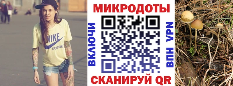 Псилоцибиновые грибы Psilocybine cubensis  ссылка на мегу зеркало  Сочи 