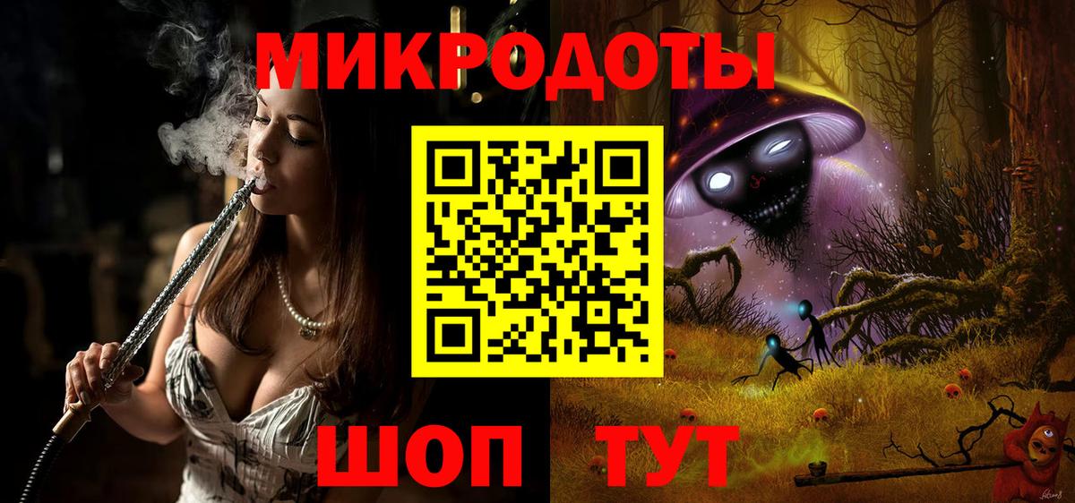 Галлюциногенные грибы Psilocybe Сочи